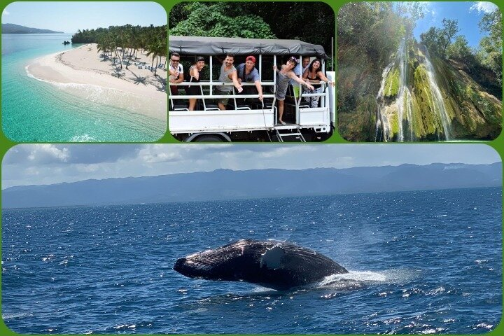 Whales Season Samana Full Day Waterfall, Safari and Beach - Photo 1 of 6